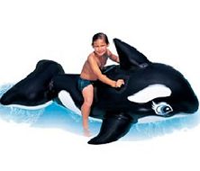 Blackfish seat